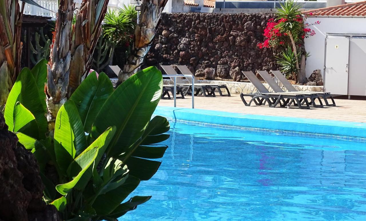Las Americas Luxury Low-Cost Apartment With Terrace & Views Плая-де-лас-Америкас Экстерьер фото